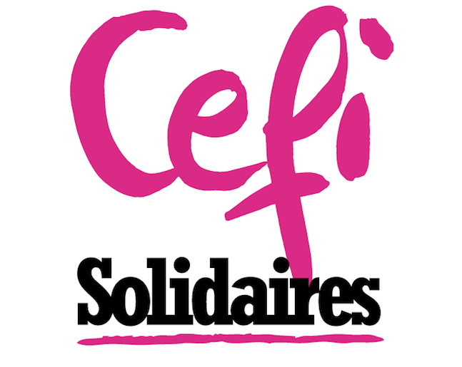 Les formations syndicales avec le Cefi-Solidaires